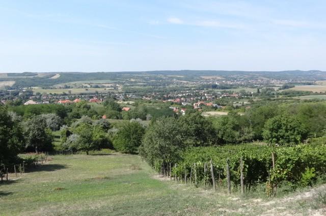 Pannonhalmán eladó építési telek 