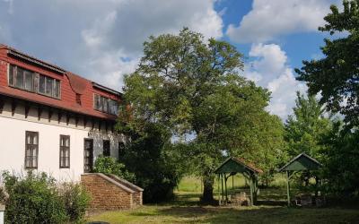 Veszprémvarsány eladó üzleti ingatlan