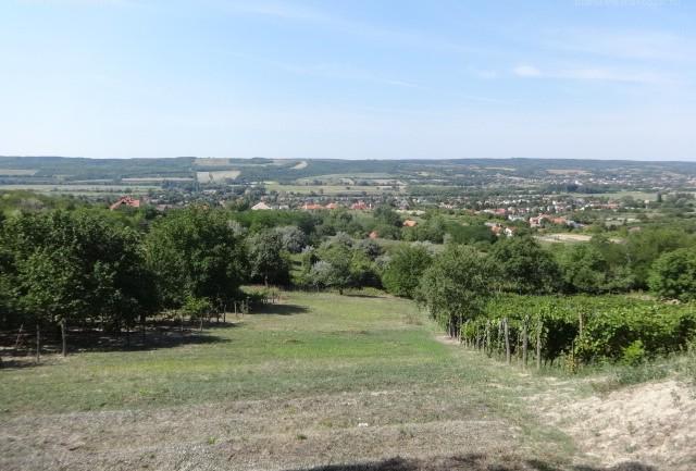 Pannonhalmán eladó építési telek 