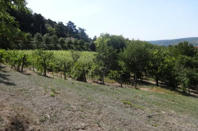Pannonhalmán eladó építési telek 